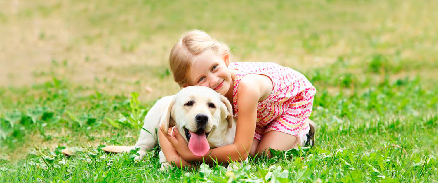 Niña abrazando a un perro en un campo