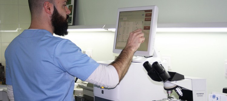 Javier preparando un análisis en el laboratorio de Veterinaria Villava