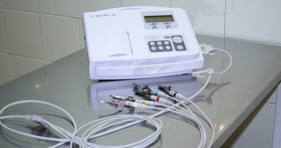 Clínica Veterinaria Villava Electrocardiografía