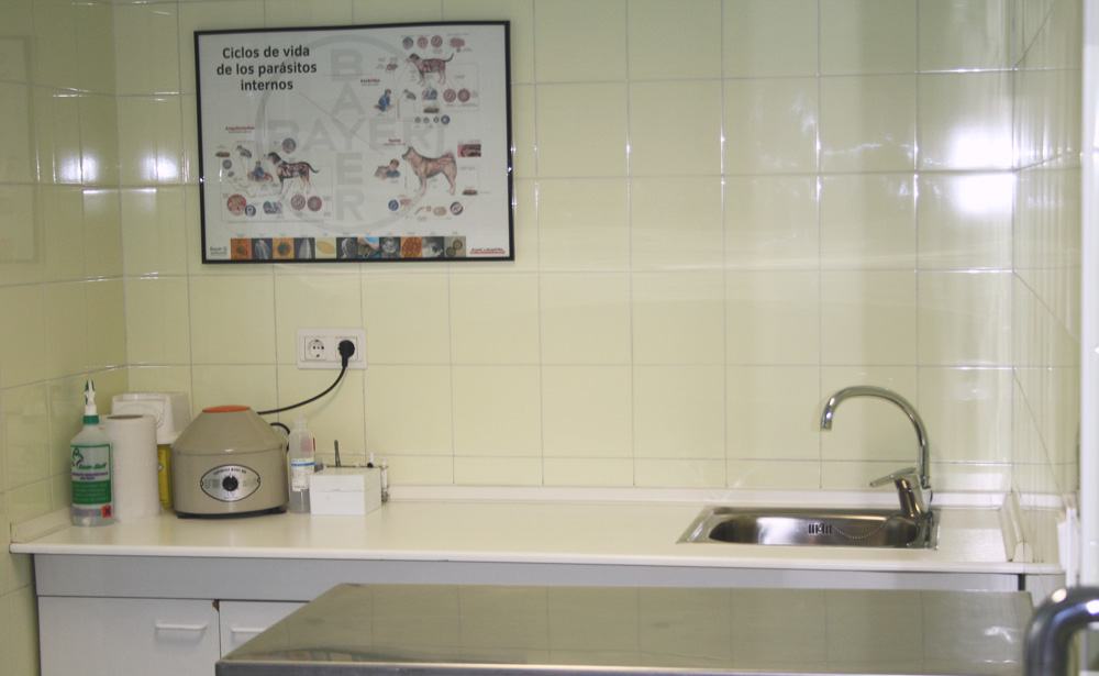vista de la segunda consulta de Clínica Veterinaria Villava