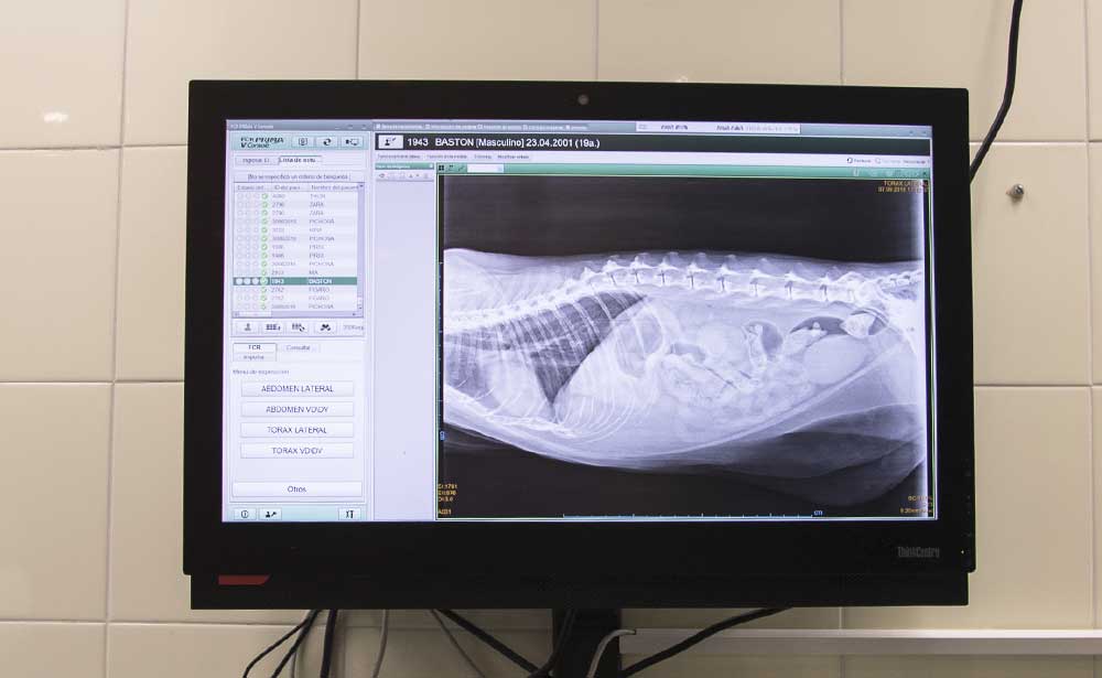 Radiología en Veterinaria Villava