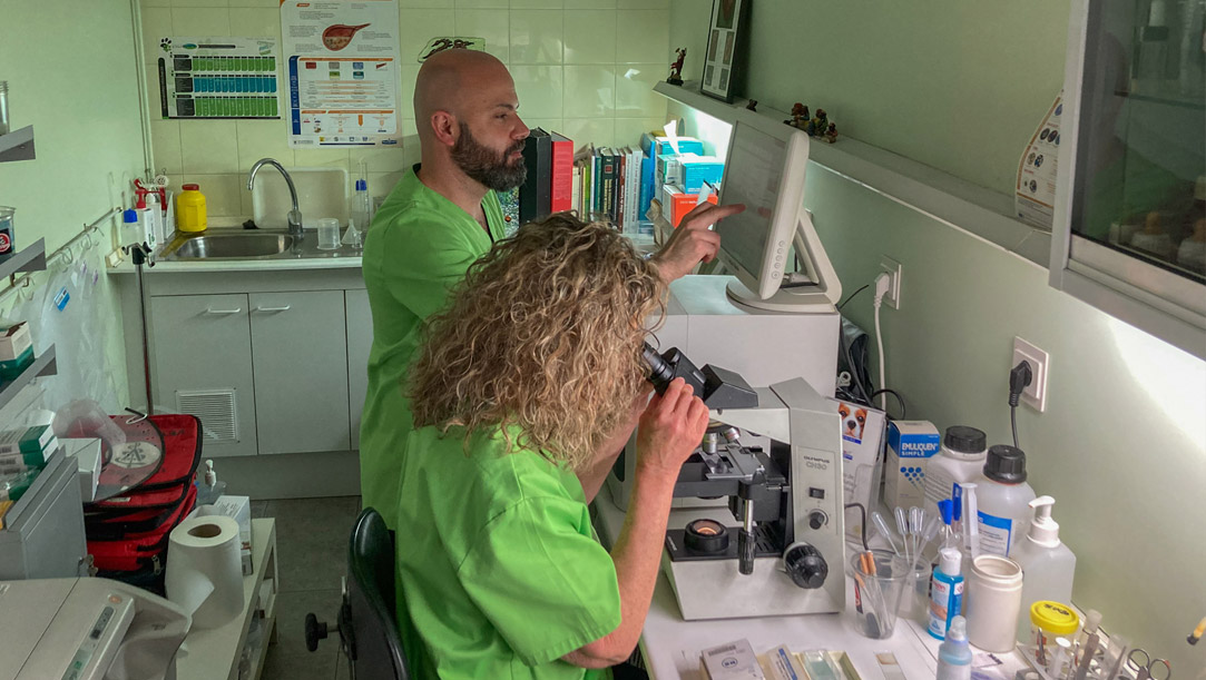 Javier y Ana preparando un análisis en el laboratorio de Veterinaria Villava