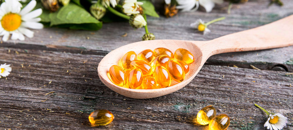 Cápsulas de nutracéuticos, suplementos para la alimentación de las mascotas