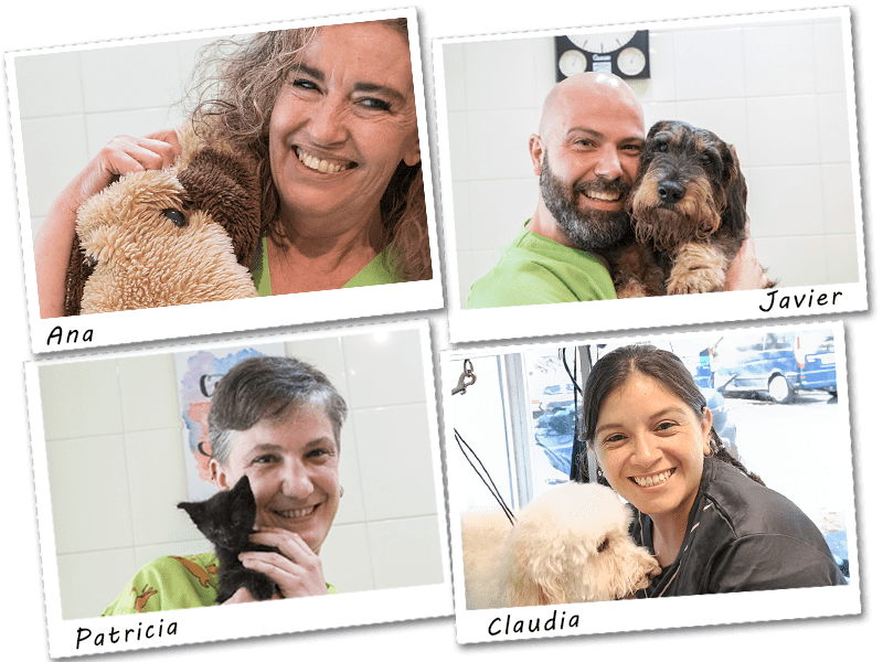 Equipo Veterinaria Villava